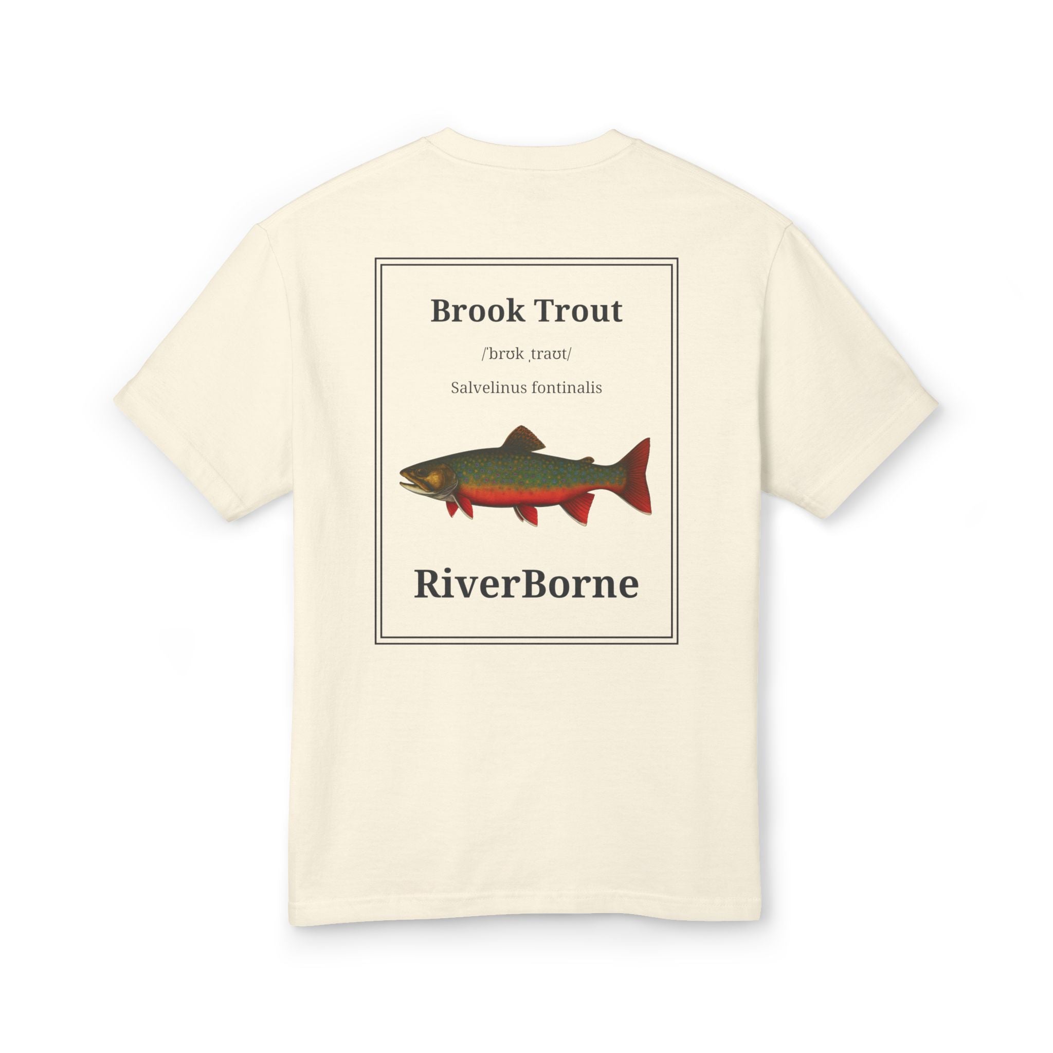 Short Sleeve T-Shirts