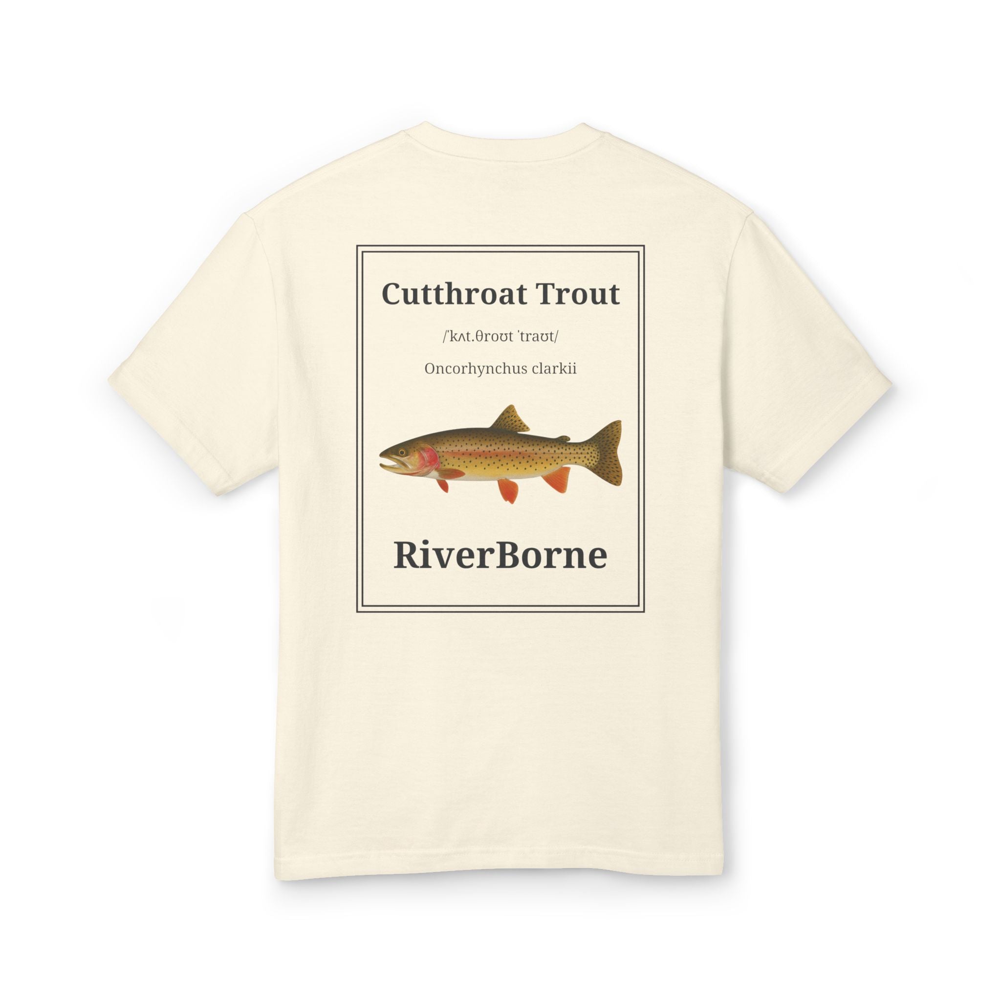 Cutthroat Trout