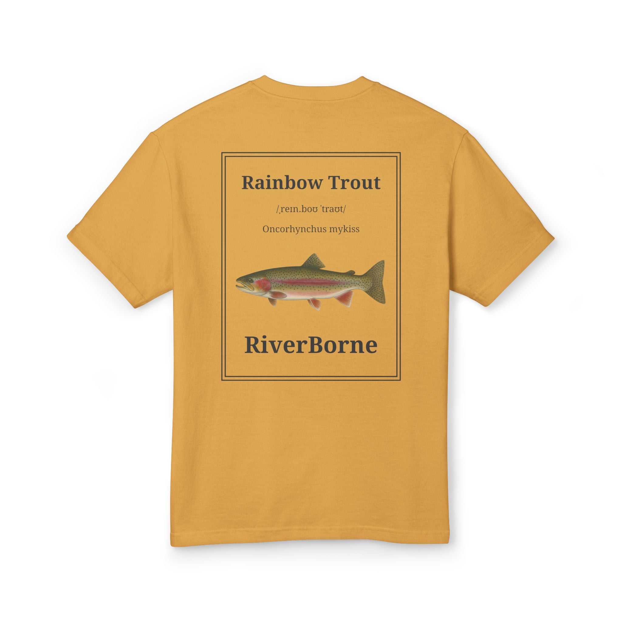 Rainbow Trout