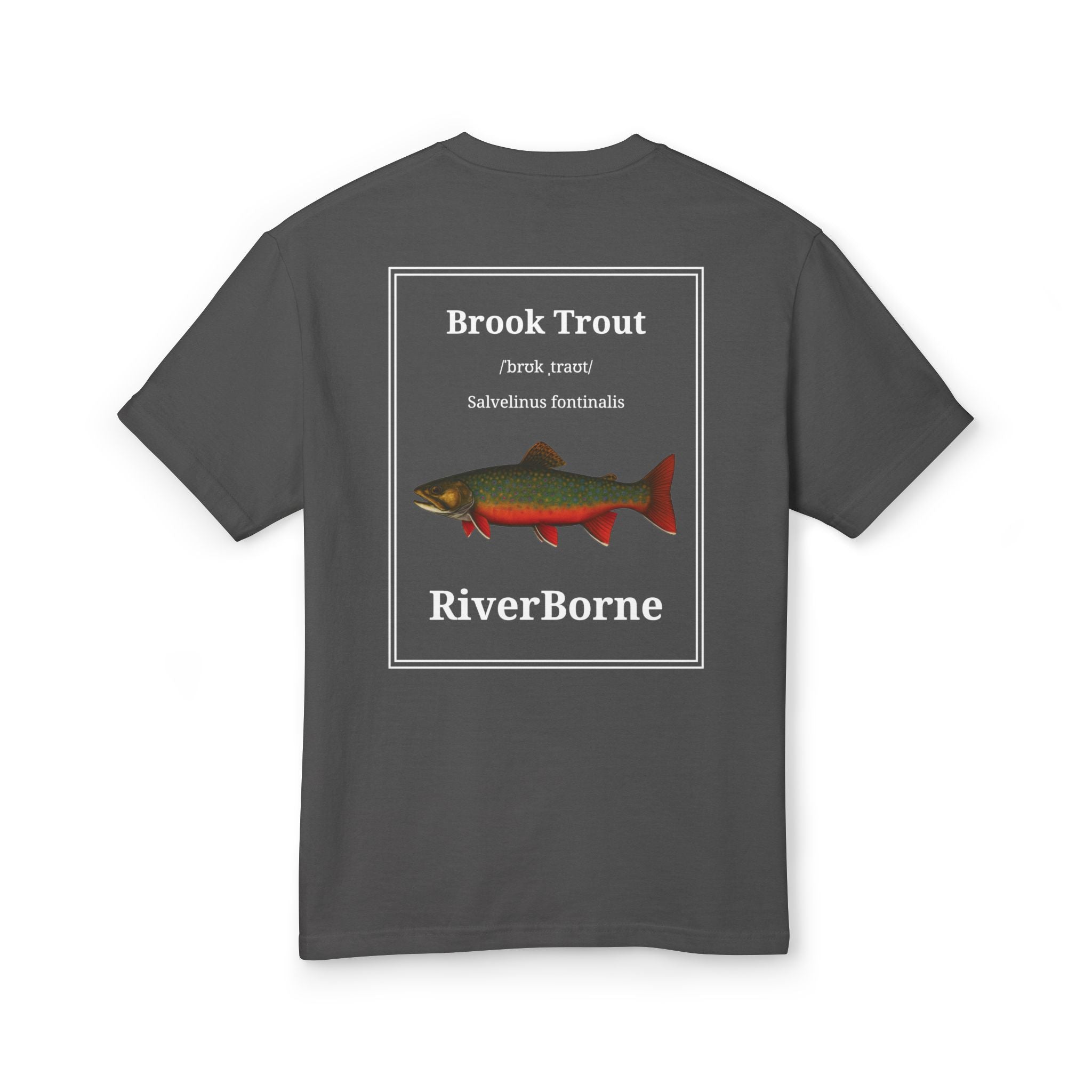 Brook Trout