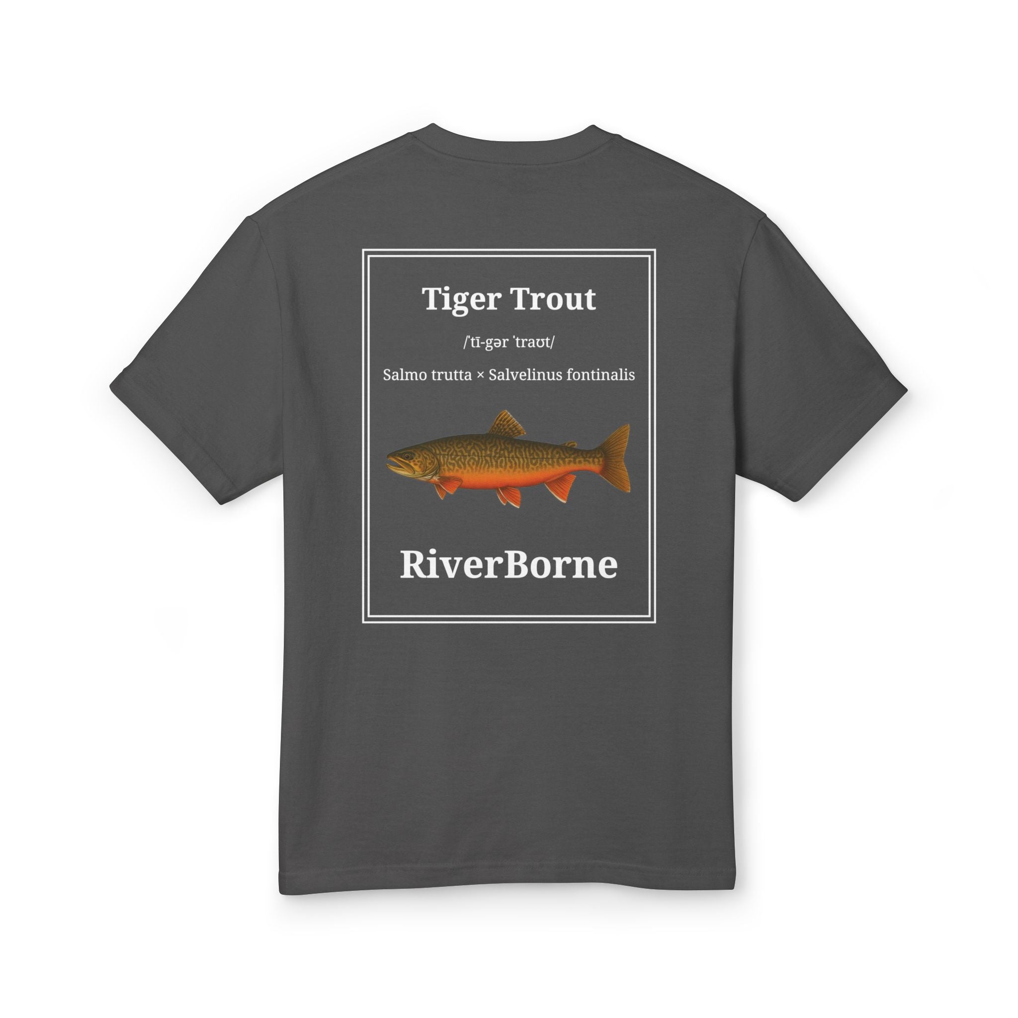 Tiger Trout