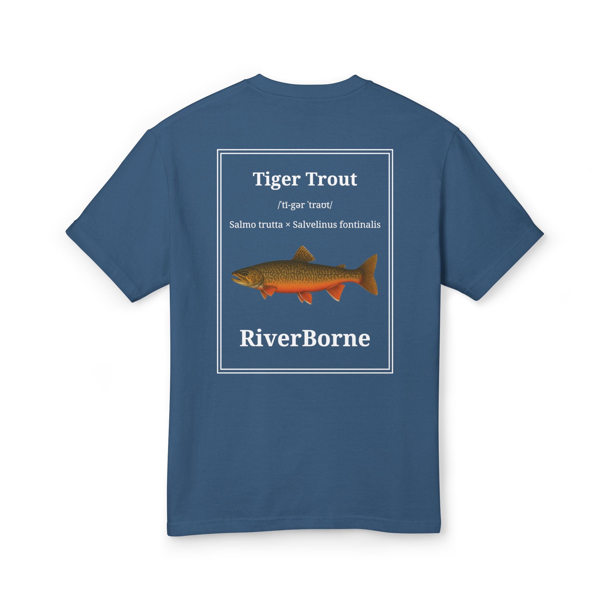Tiger Trout