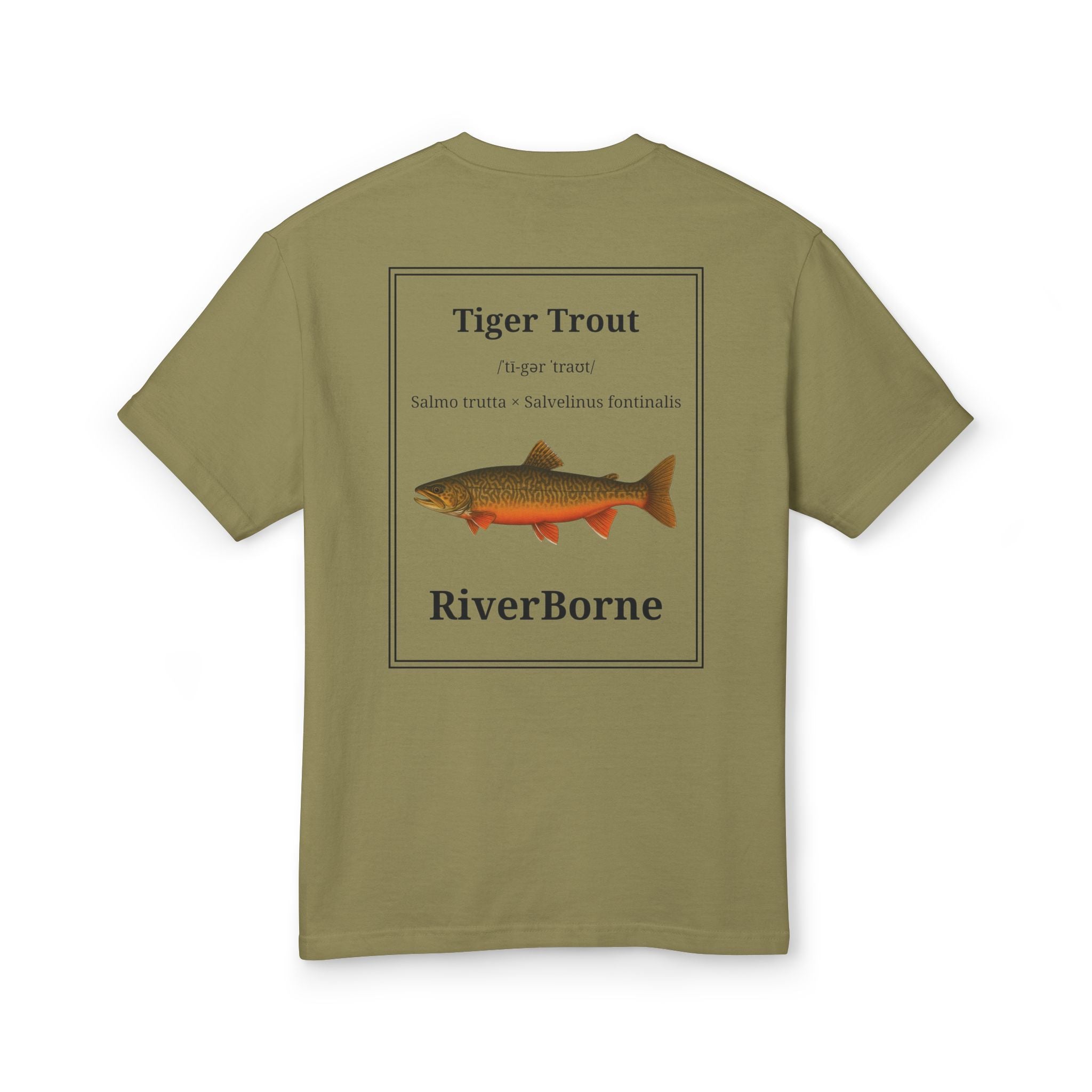 Tiger Trout