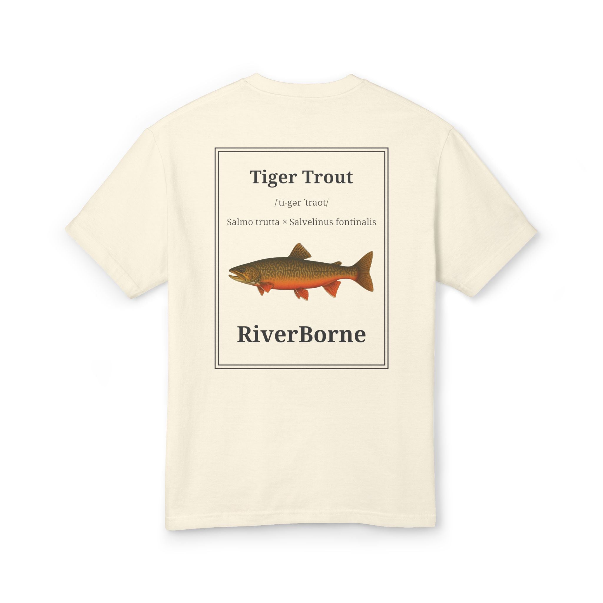 Tiger Trout