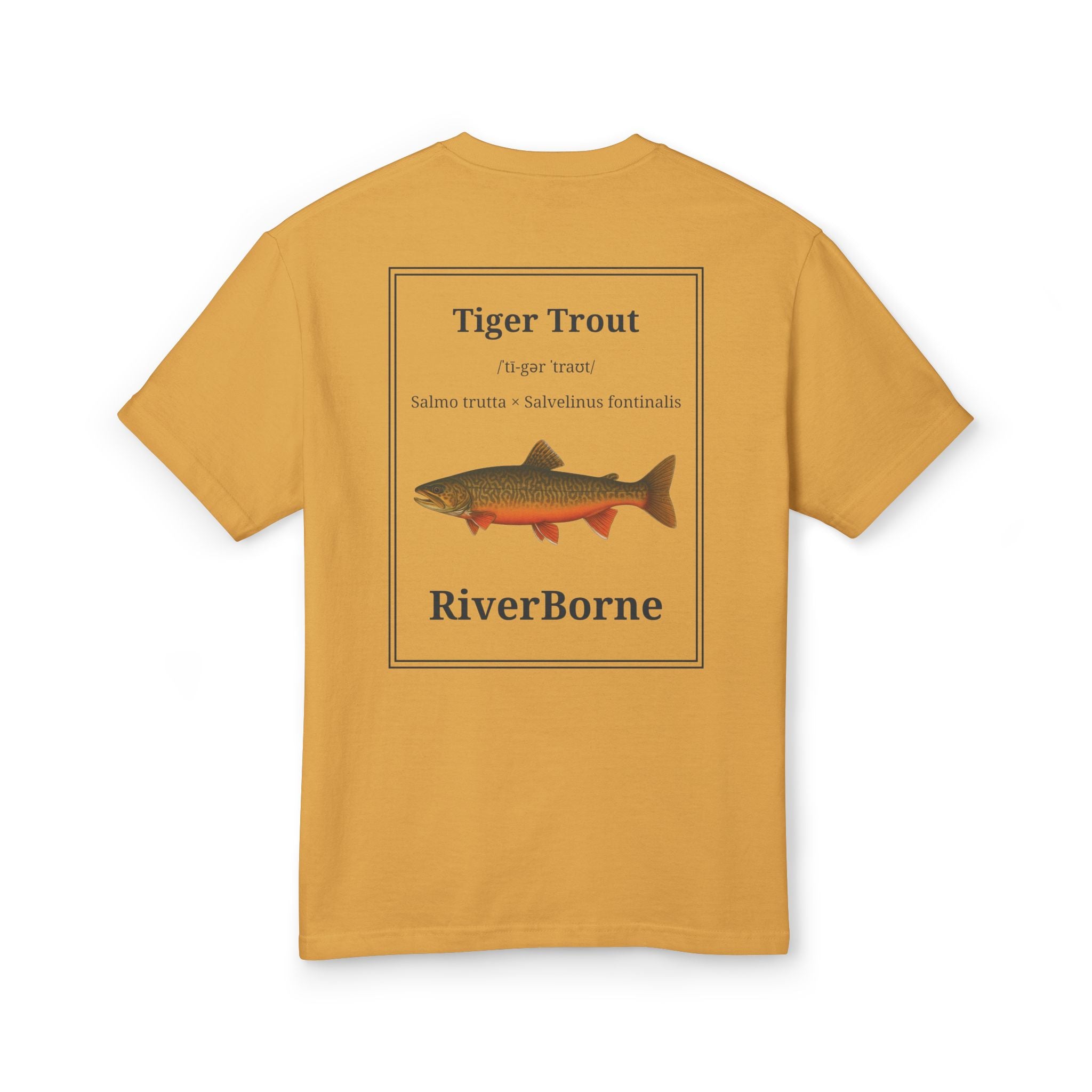 Tiger Trout